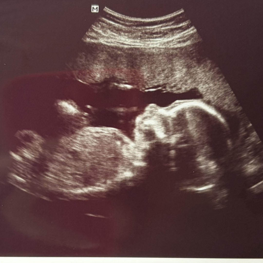 Photo shared by Jenn for their Babylist baby registry.