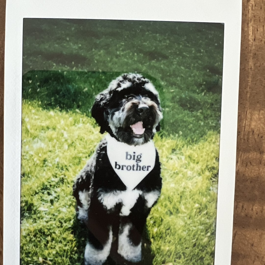 Photo shared by Shaye for their Babylist baby registry.