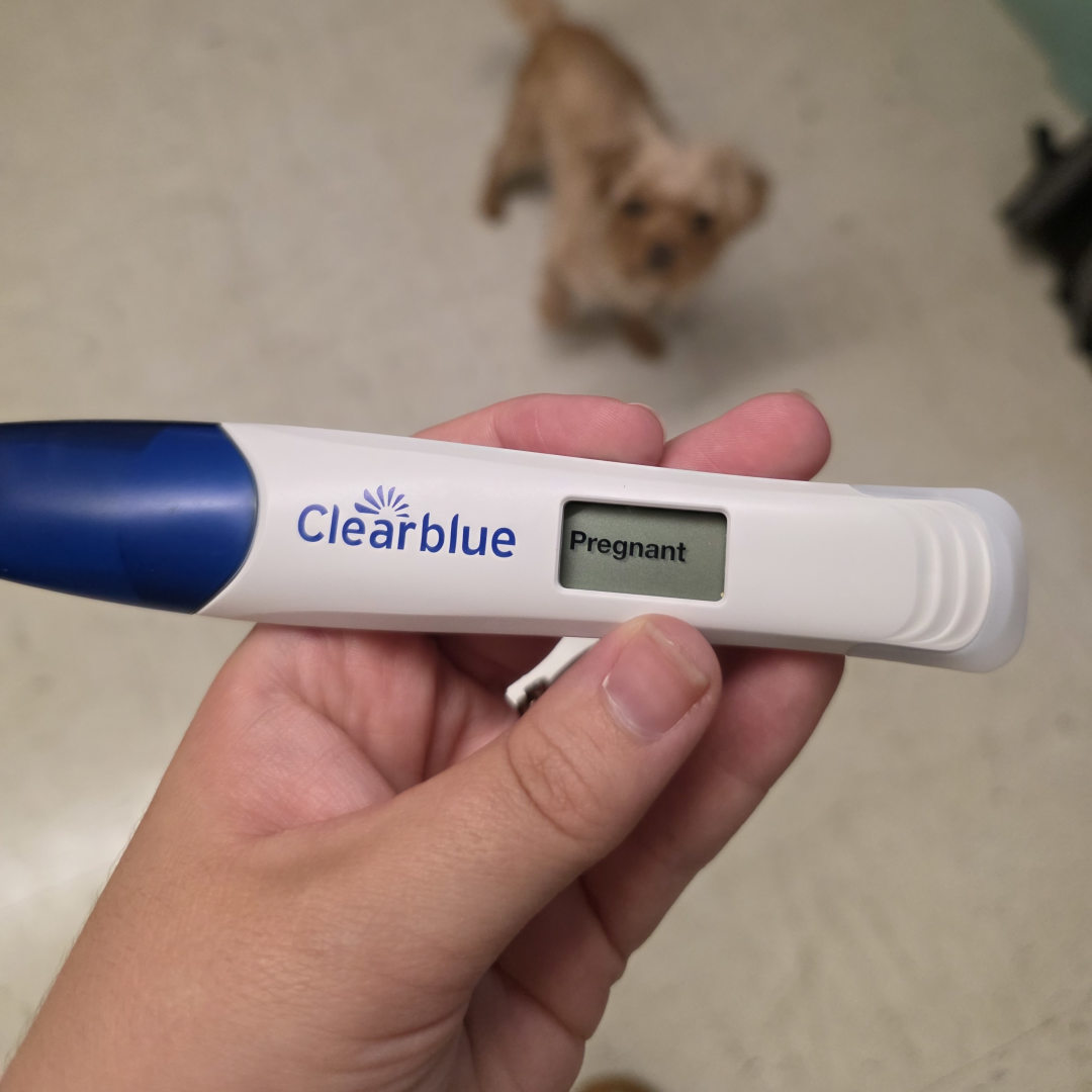 Photo shared by Bryttani for their Babylist baby registry.