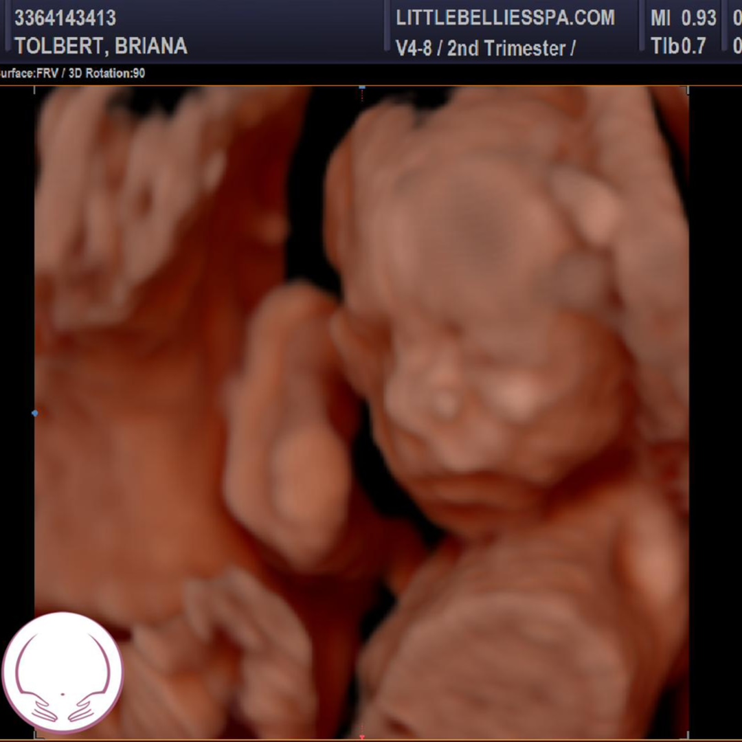 Photo shared by William & Christopher for their Babylist baby registry.