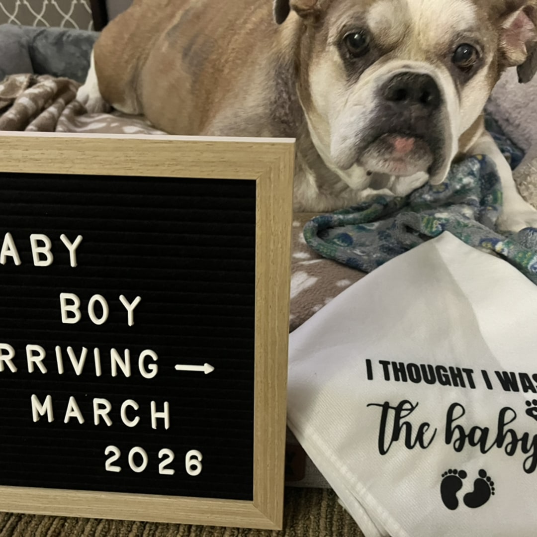 Photo shared by Mallory for their Babylist baby registry.
