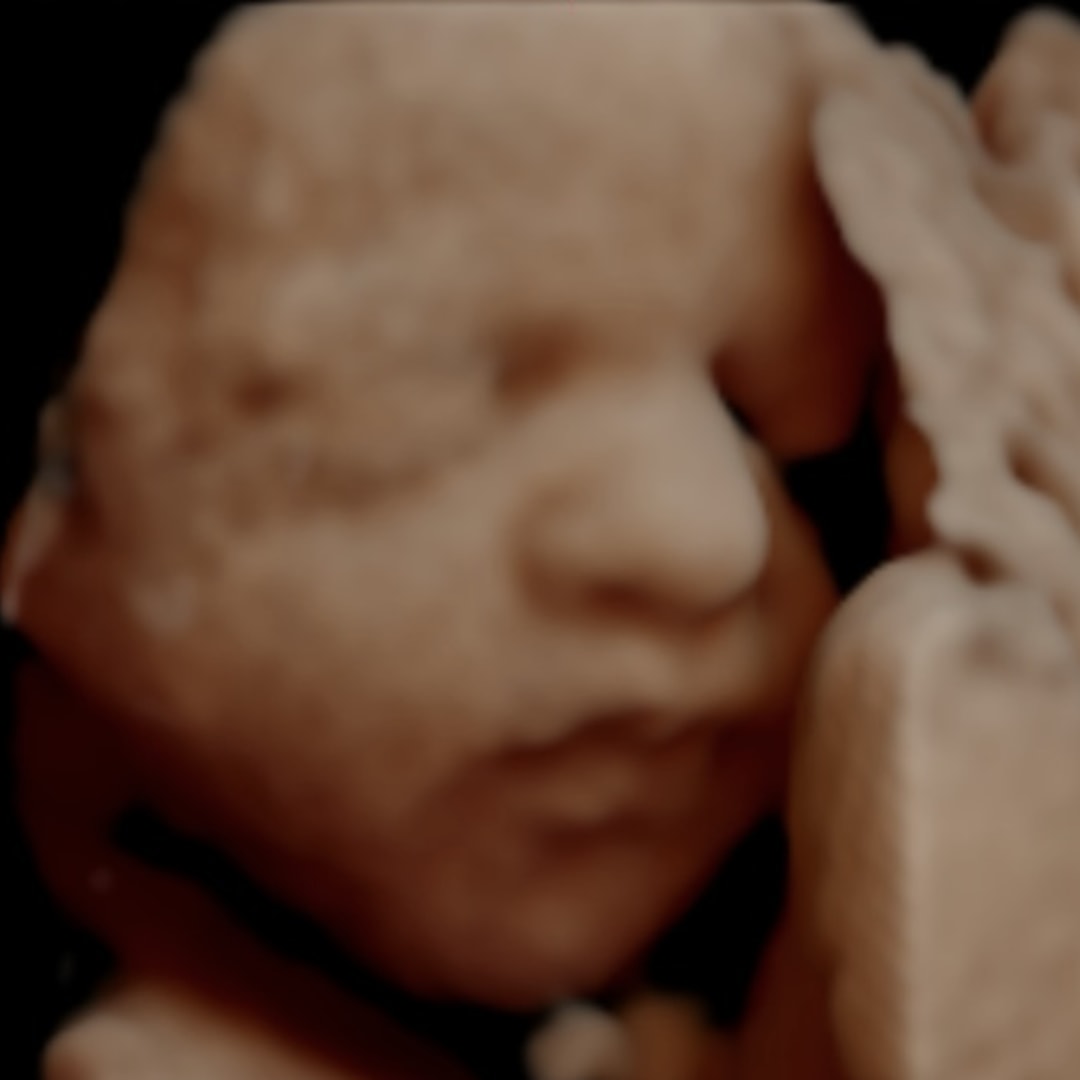 Photo shared by Amanda for their Babylist baby registry.