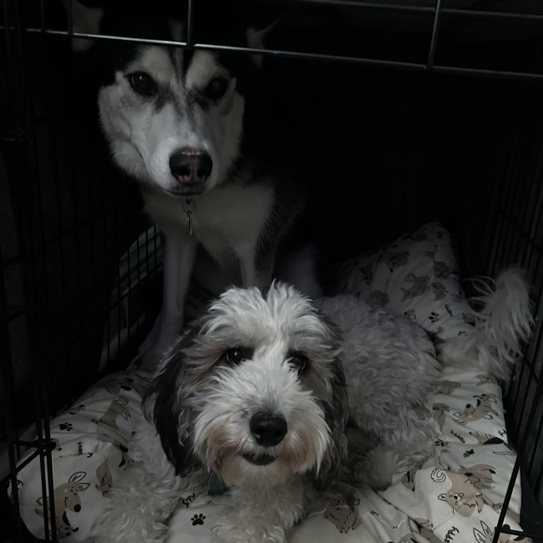 Photo shared by Courtney for their Babylist baby registry.