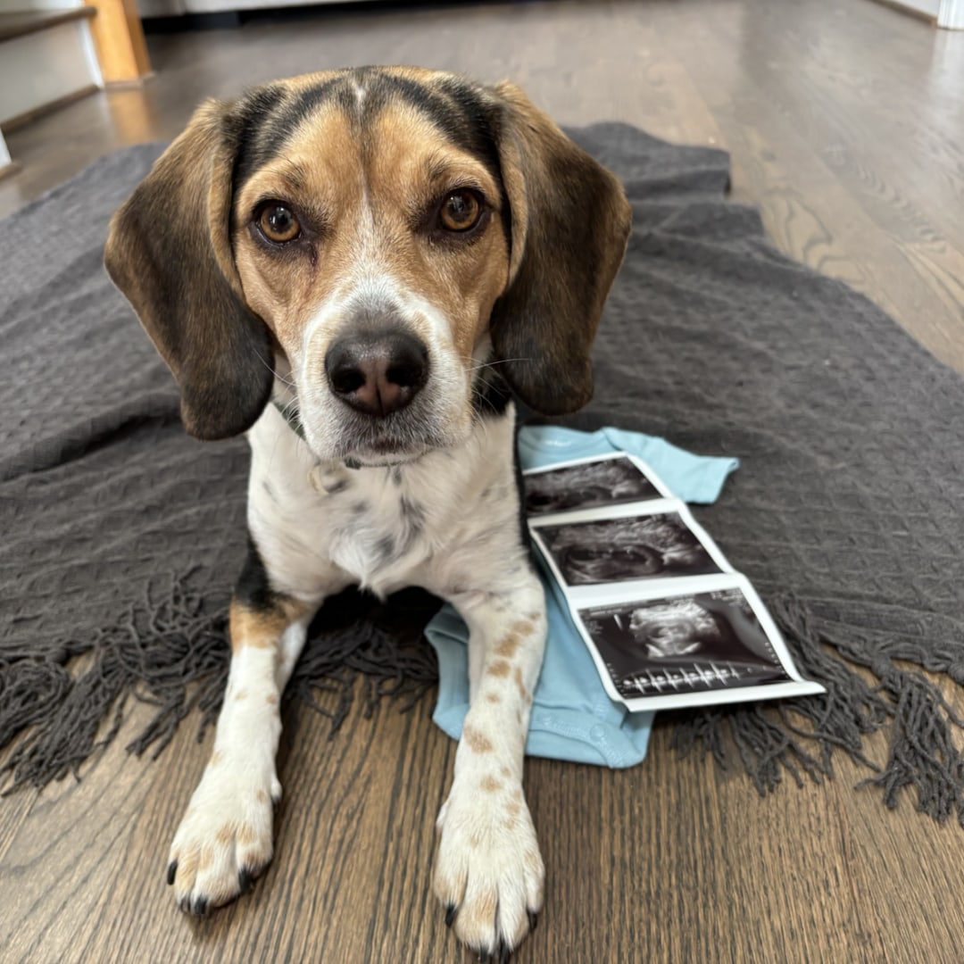 Photo shared by Kate for their Babylist baby registry.