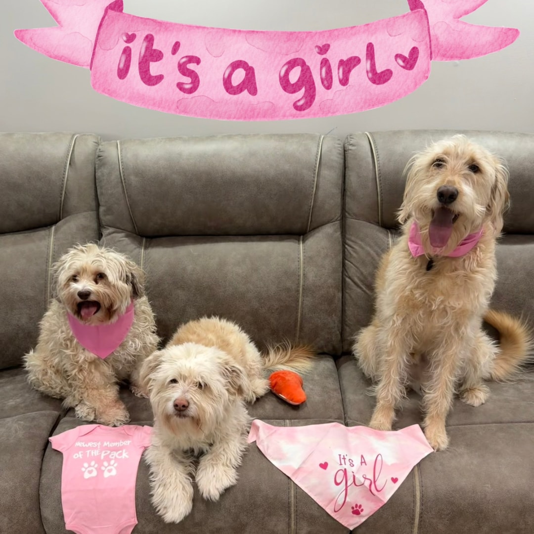 Photo shared by Faith for their Babylist baby registry.