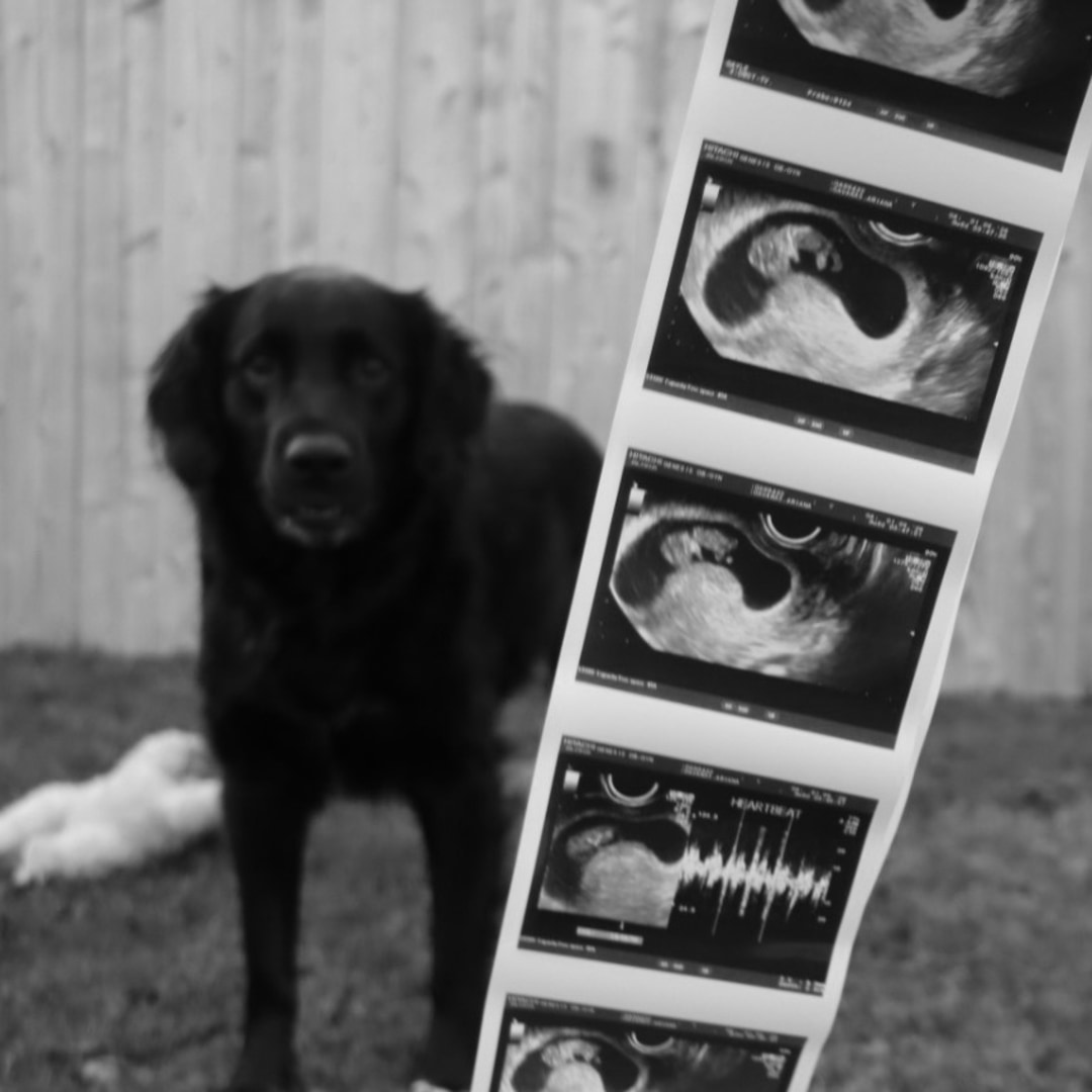 Photo shared by Ariana for their Babylist baby registry.