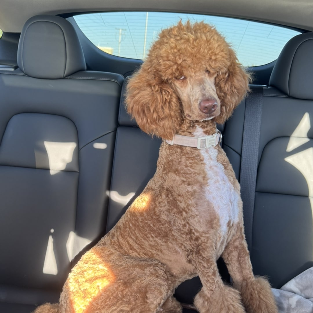 Photo shared by Claire for their Babylist baby registry.