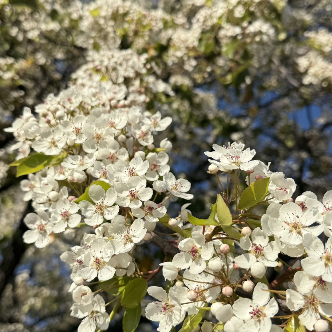 Photo shared by Anastasiia for their Babylist baby registry.