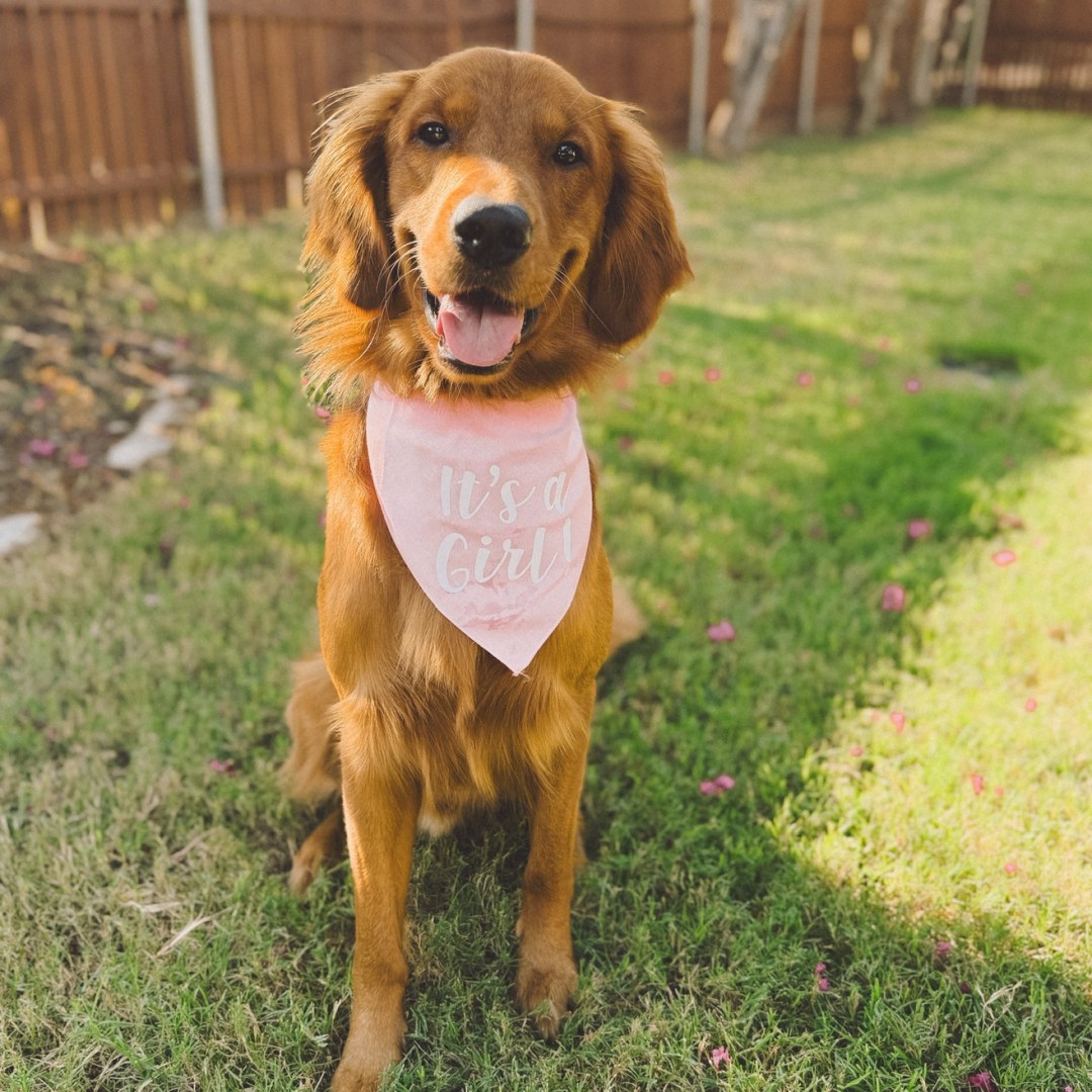Photo shared by Shayla for their Babylist baby registry.