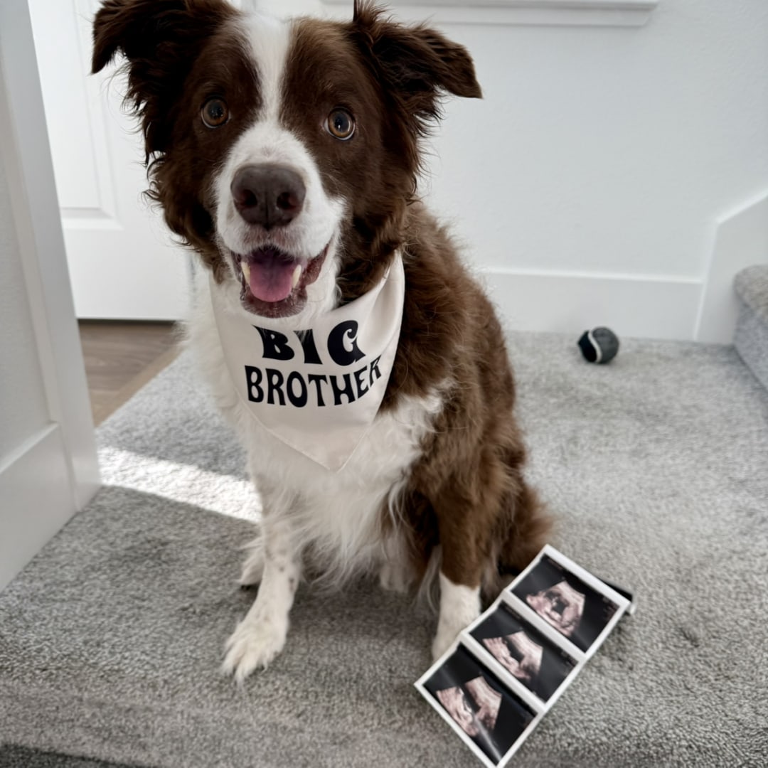 Photo shared by Melanie for their Babylist baby registry.