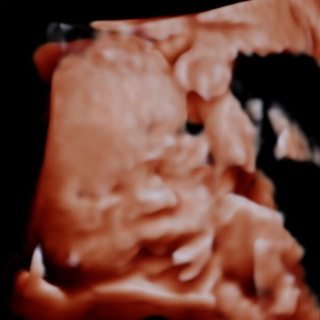Photo shared by Nicci for their Babylist baby registry.
