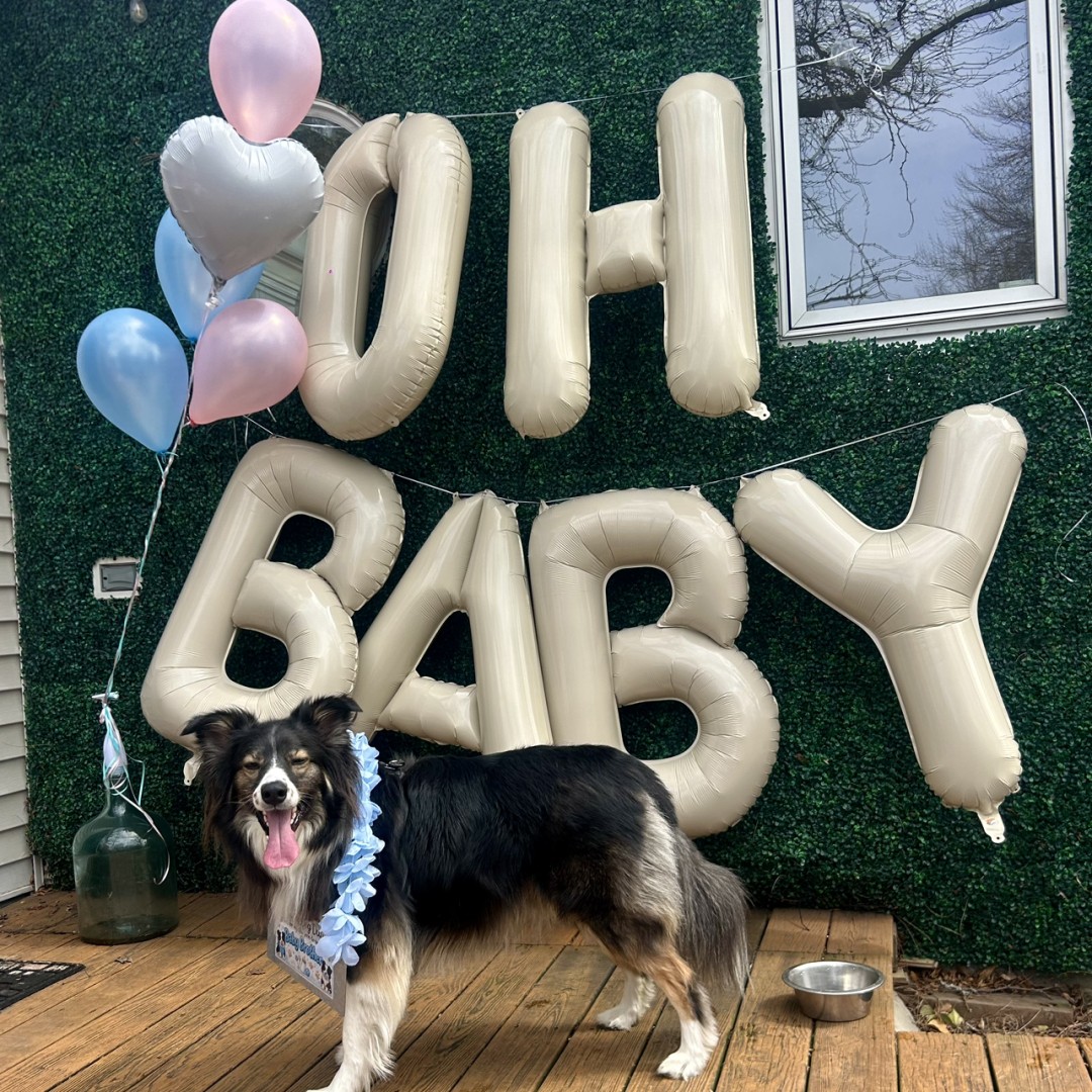 Photo shared by Jessica for their Babylist baby registry.