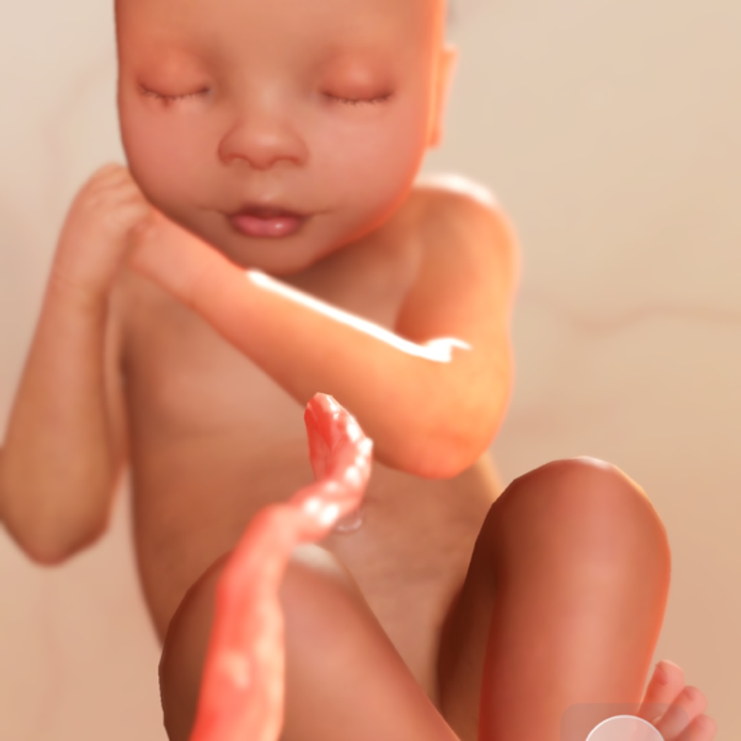 Photo shared by Selena for their Babylist baby registry.