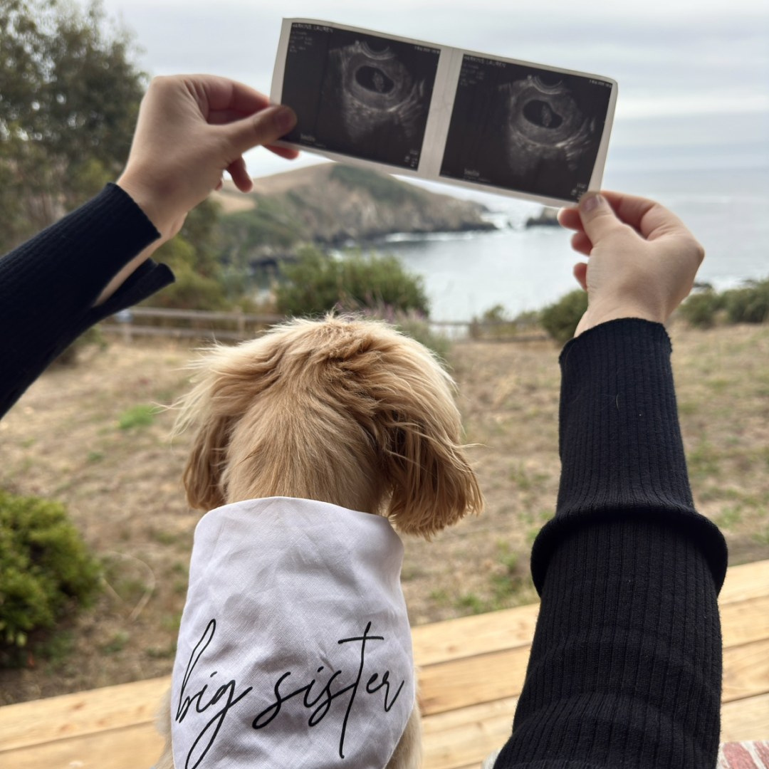 Photo shared by Lauren for their Babylist baby registry.