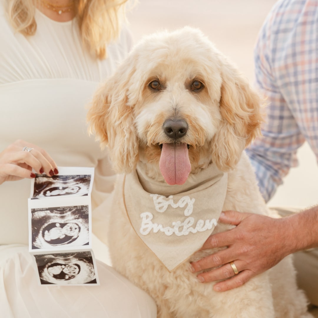 Photo shared by Chelsey for their Babylist baby registry.