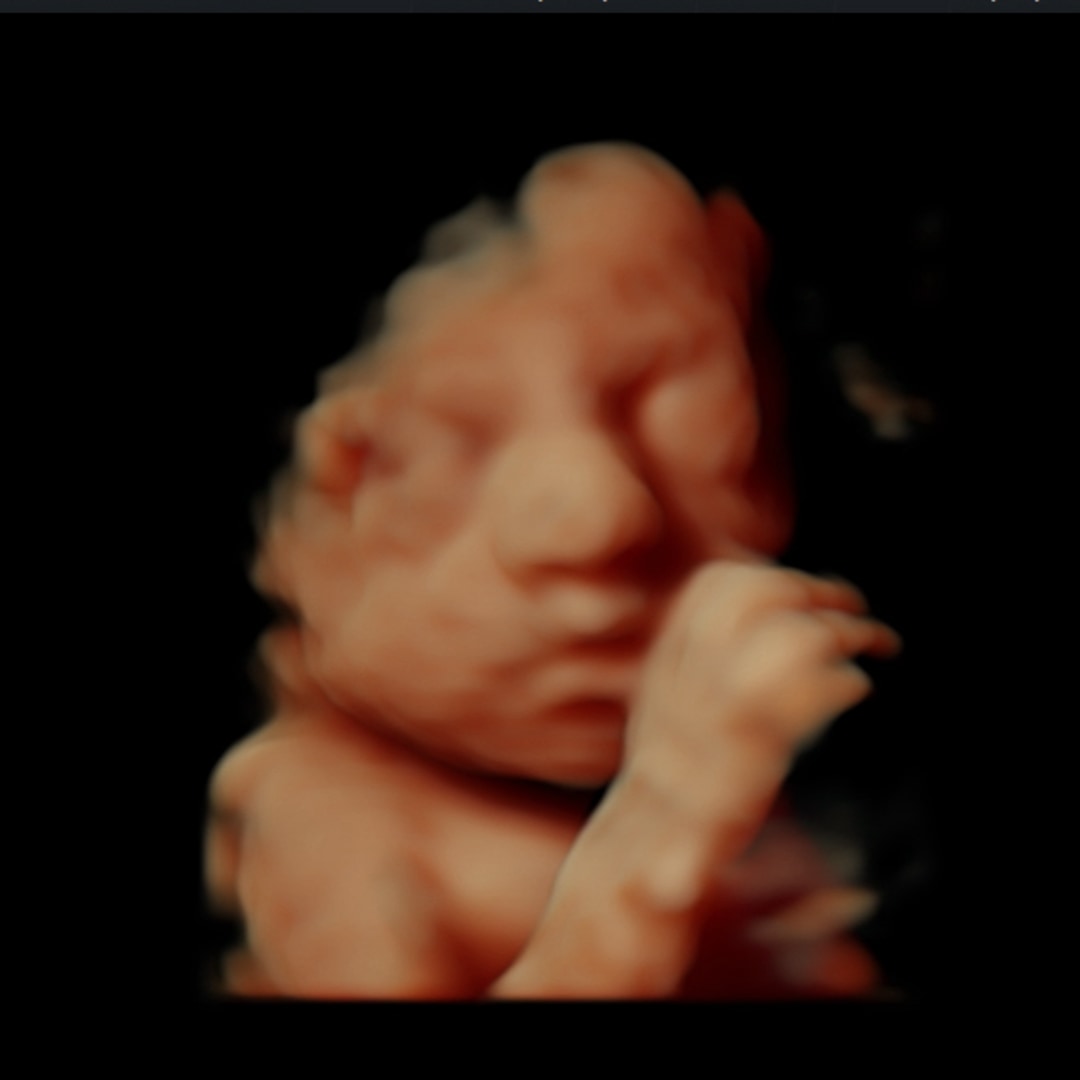 Photo shared by Callie for their Babylist baby registry.
