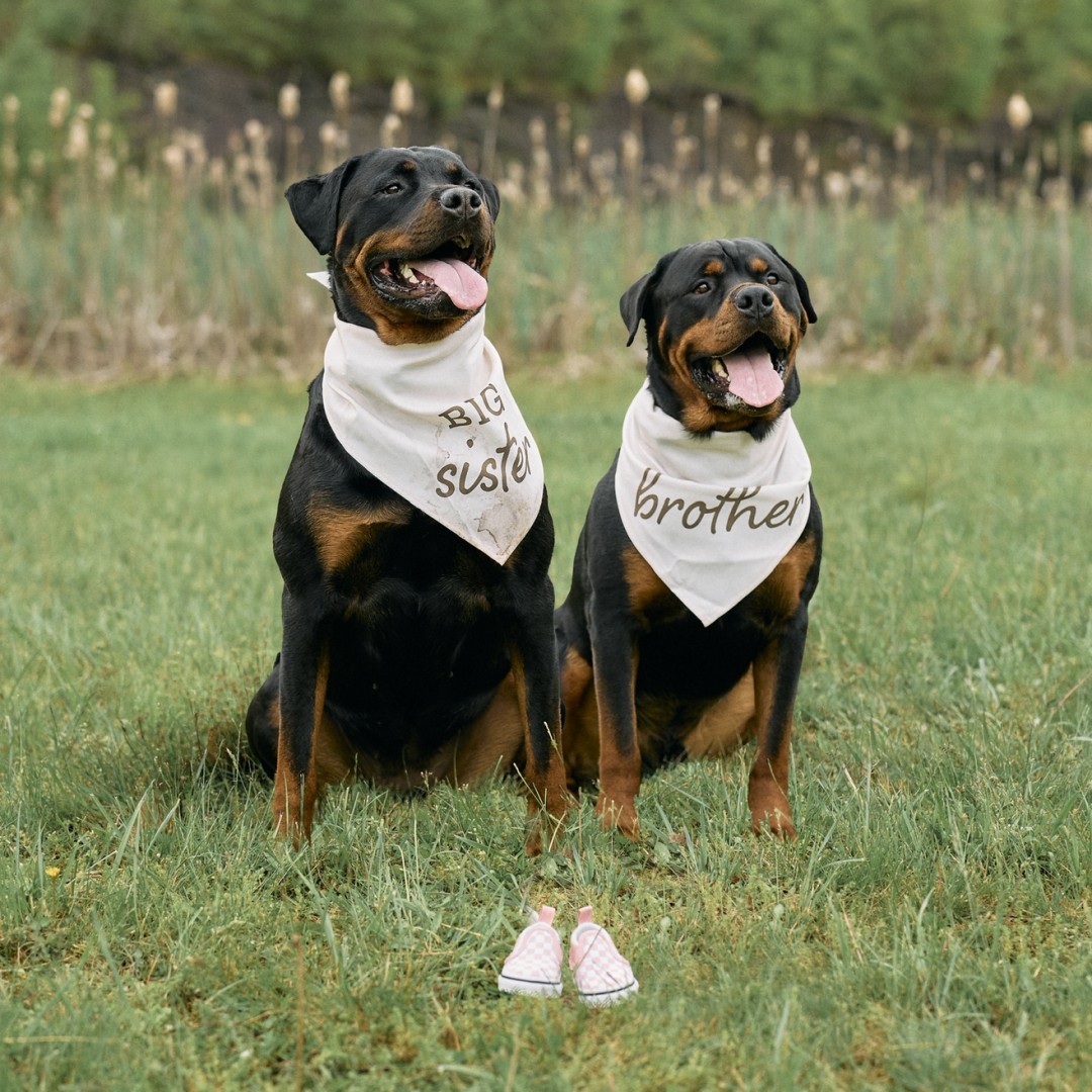 Photo shared by Moriah for their Babylist baby registry.
