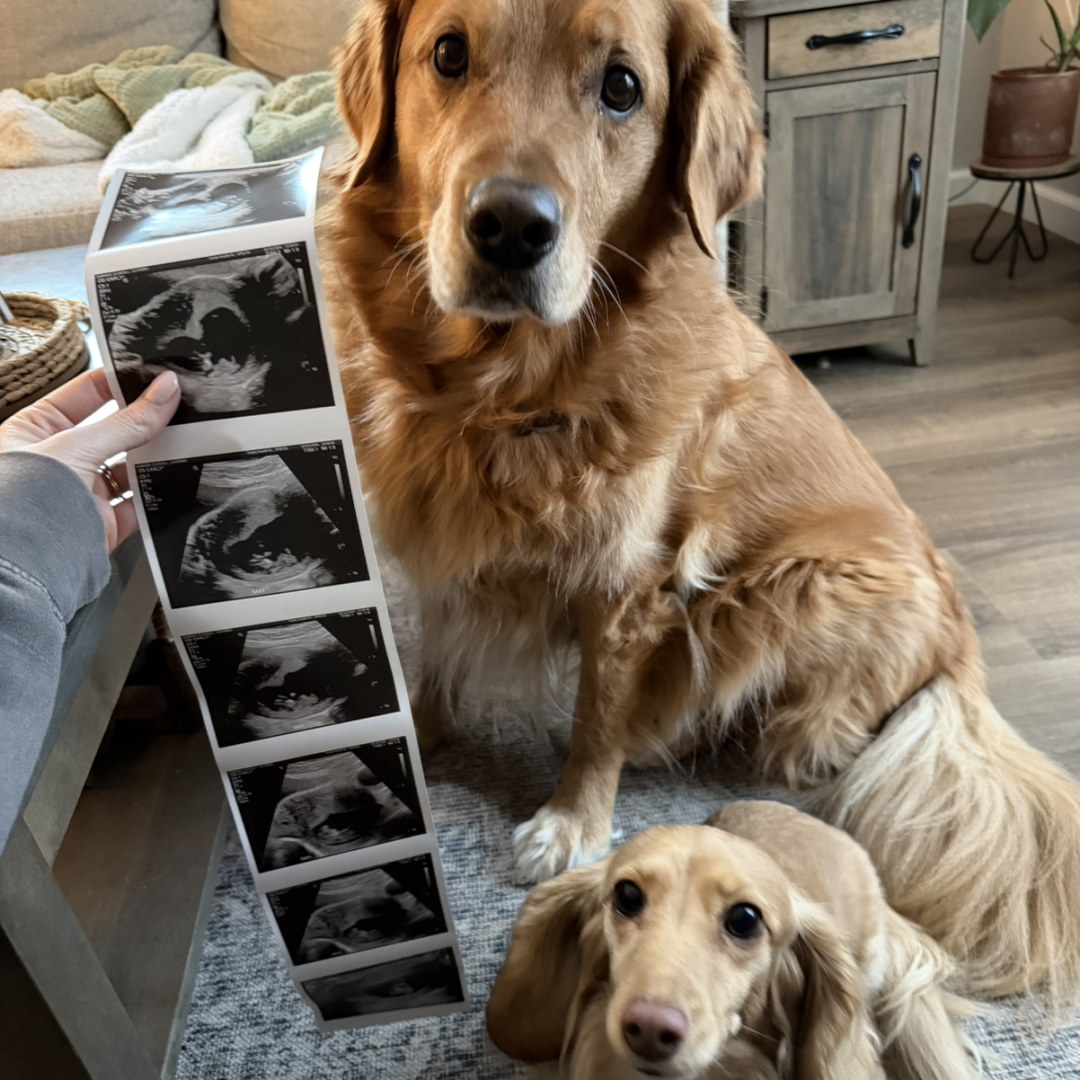 Photo shared by Elliecia for their Babylist baby registry.