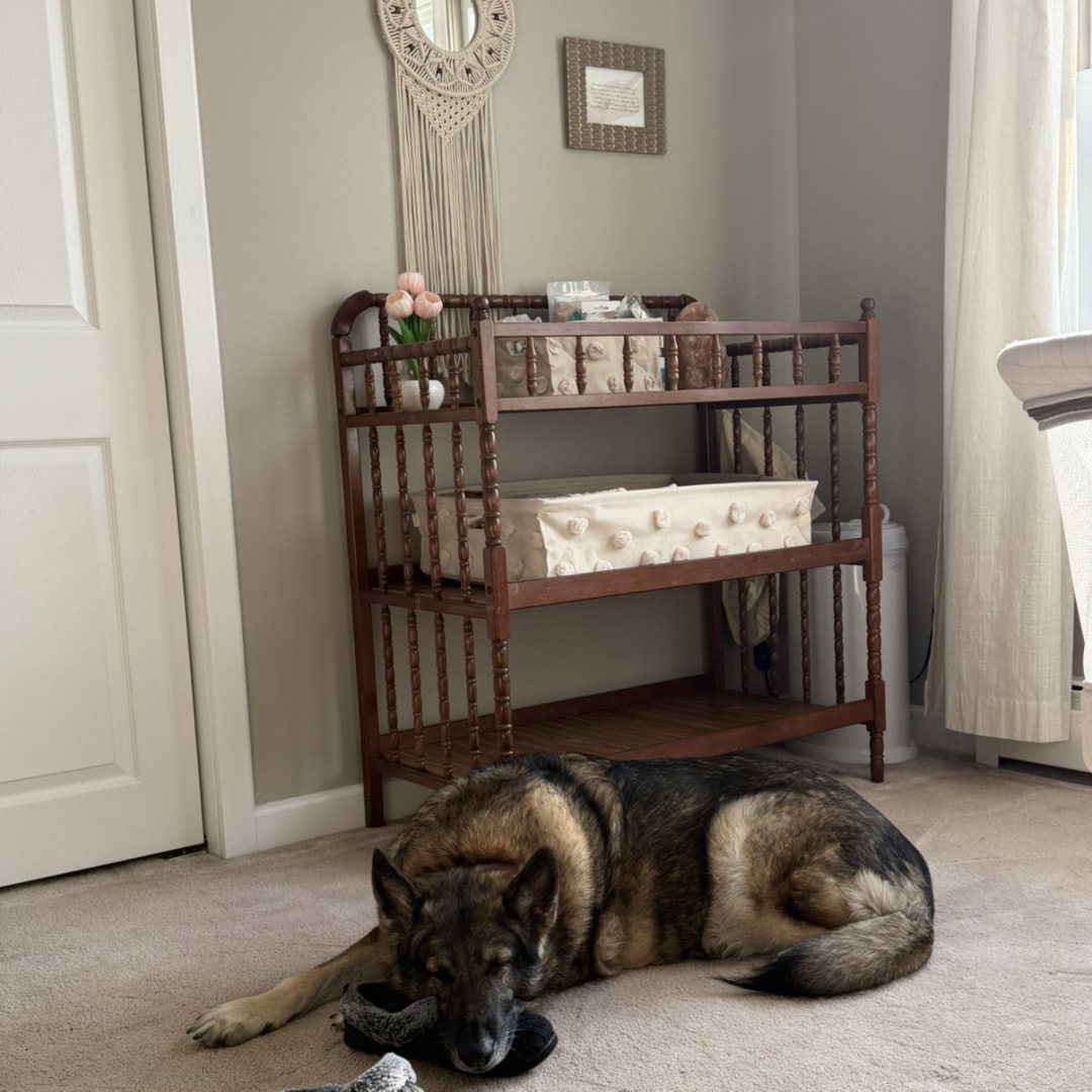 Photo shared by Brandi for their Babylist baby registry.