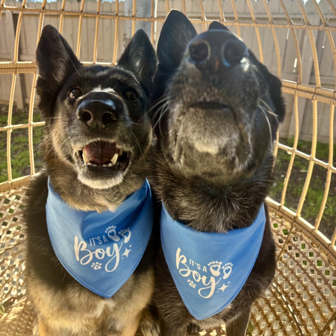 Photo shared by Kenya for their Babylist baby registry.