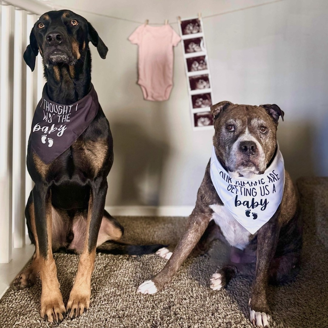 Photo shared by Cynthia for their Babylist baby registry.