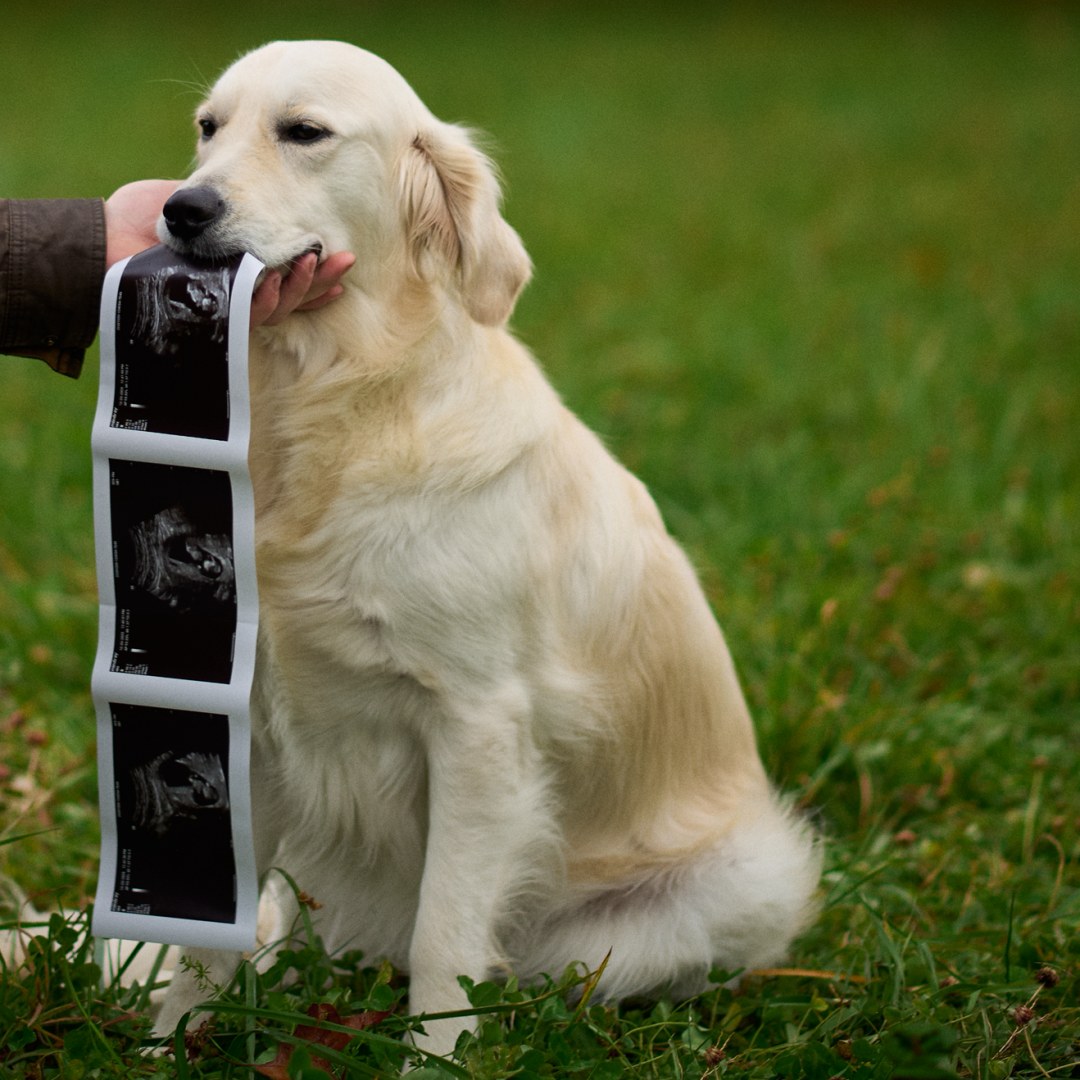 Photo shared by Cameryn for their Babylist baby registry.