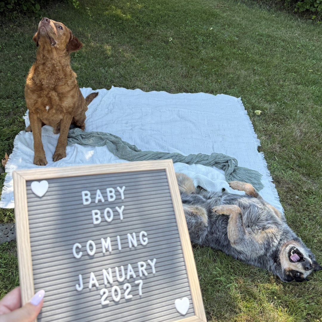 Photo shared by Gabrielle for their Babylist baby registry.