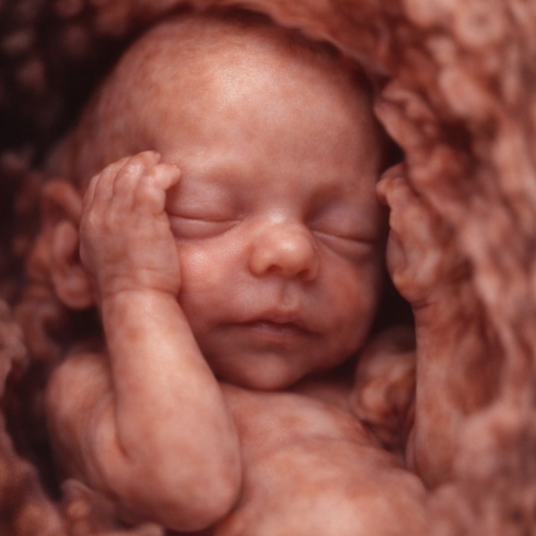 Photo shared by Alyssa for their Babylist baby registry.