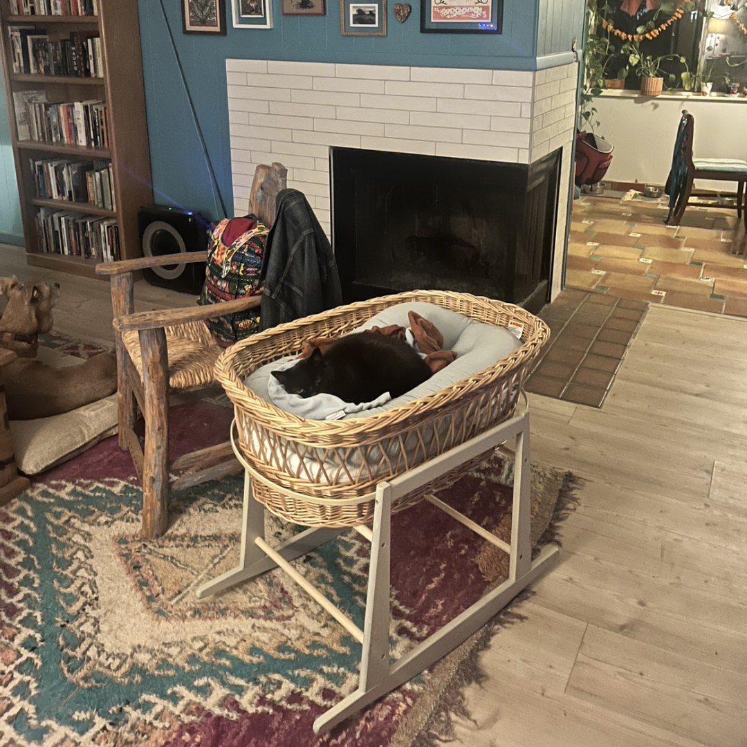 Photo shared by Chase for their Babylist baby registry.