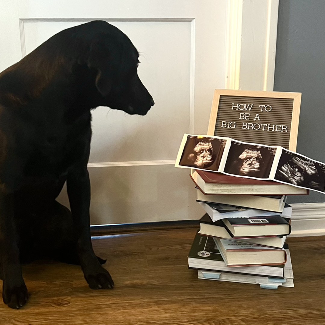 Photo shared by Alison for their Babylist baby registry.