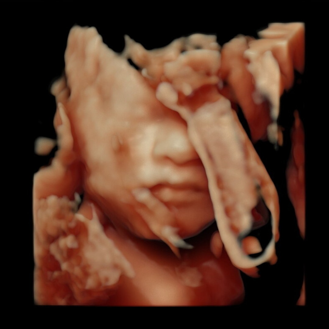Photo shared by Aerial for their Babylist baby registry.