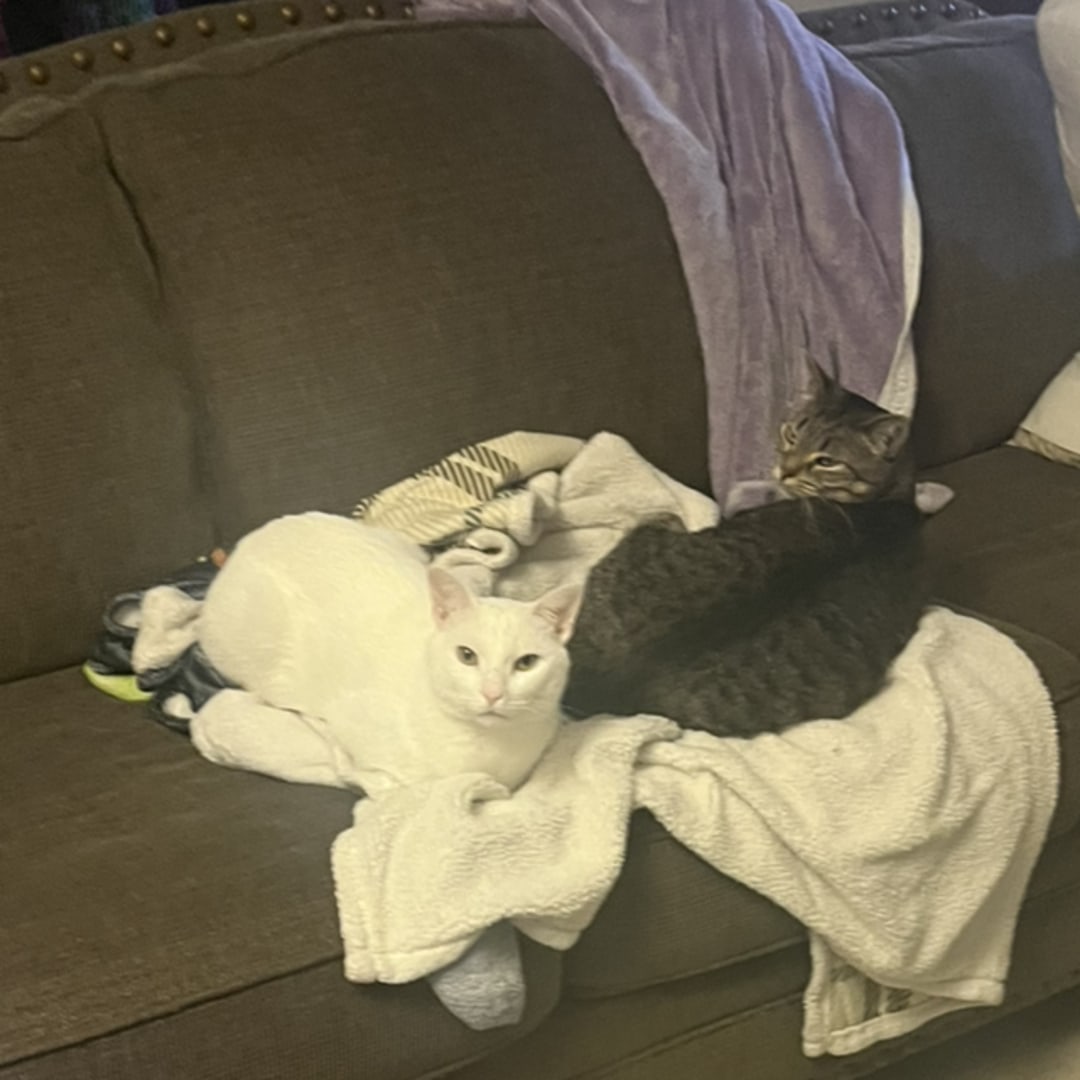 Photo shared by Bell for their Babylist baby registry.