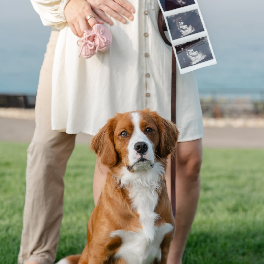 Photo shared by Amy for their Babylist baby registry.