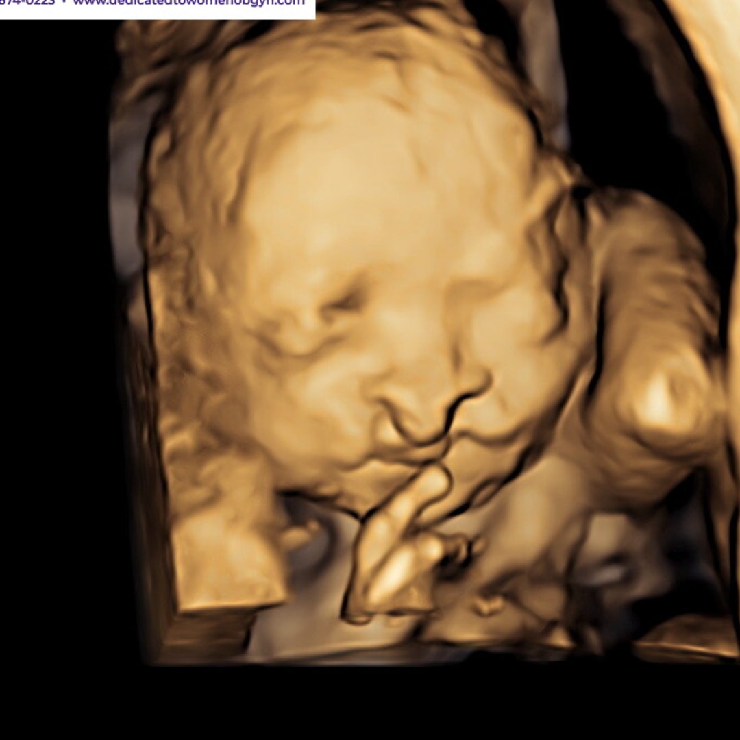Photo shared by Carlie for their Babylist baby registry.