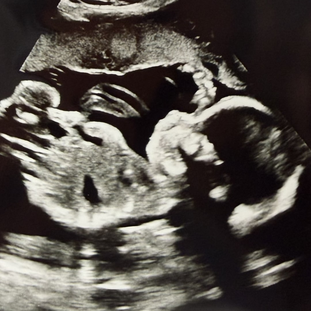 Photo shared by Harley for their Babylist baby registry.