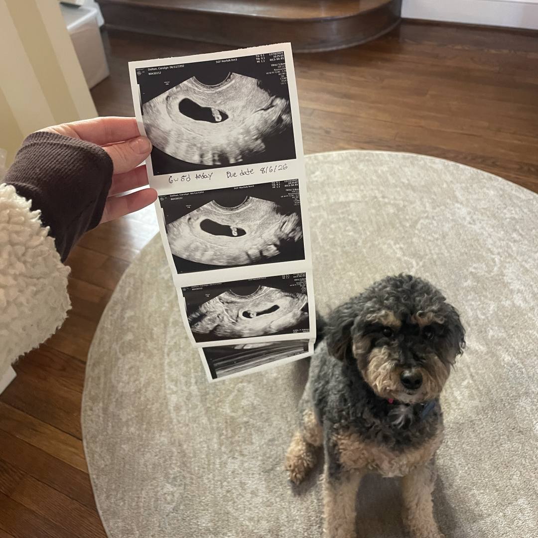 Photo shared by Carolyn for their Babylist baby registry.