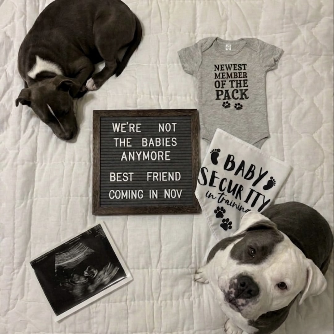 Photo shared by Lauren for their Babylist baby registry.