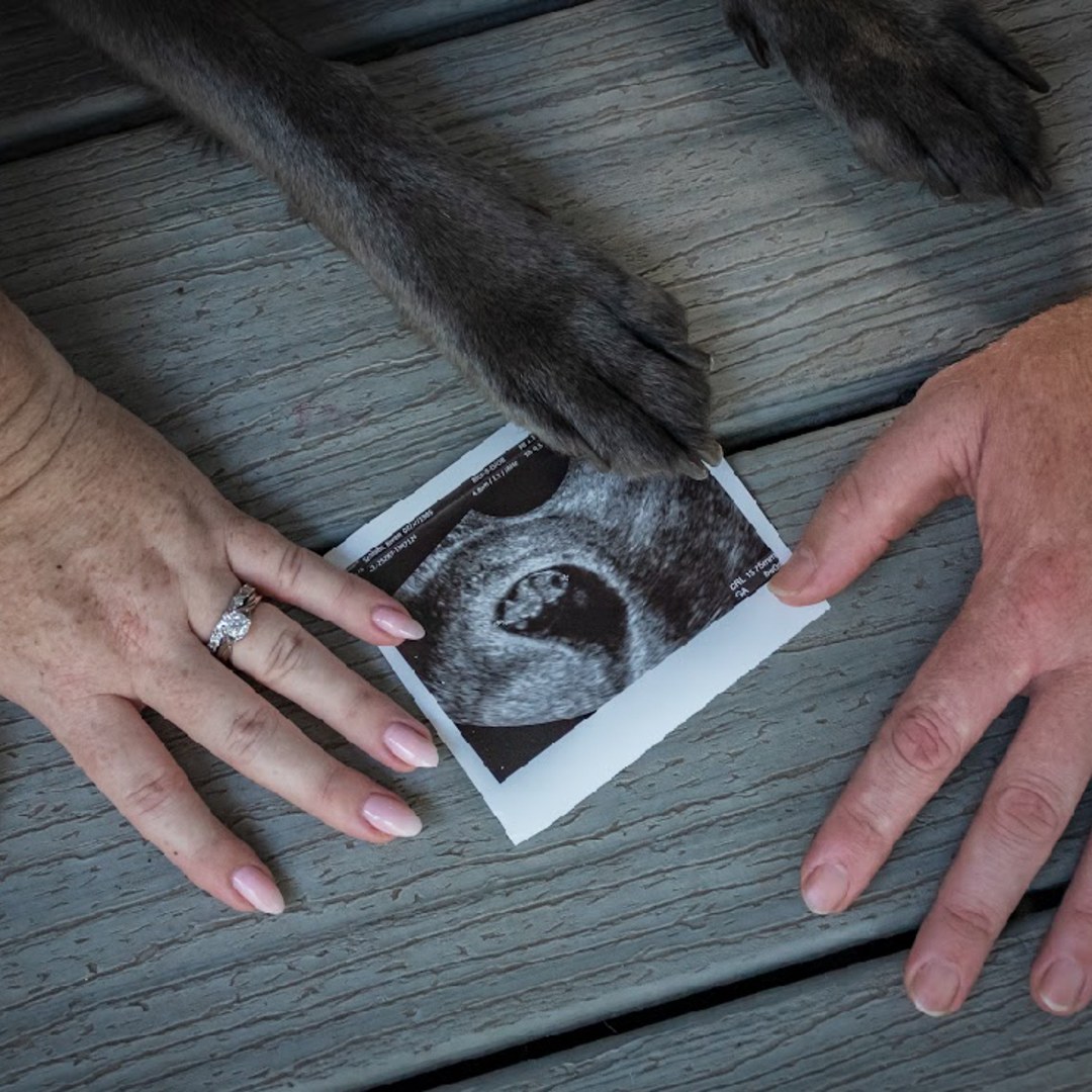 Photo shared by Karen for their Babylist baby registry.