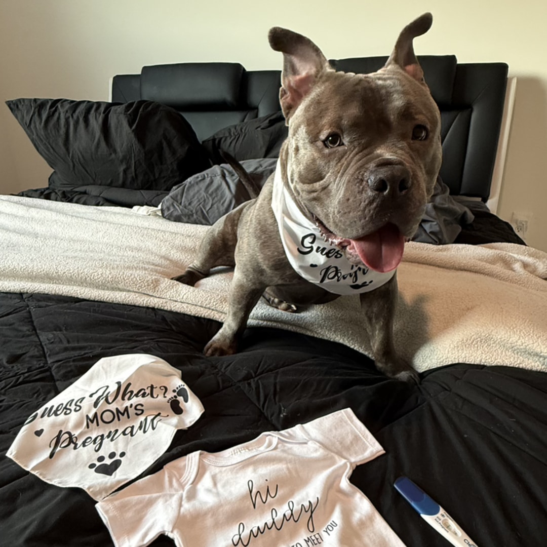 Photo shared by Estefania for their Babylist baby registry.