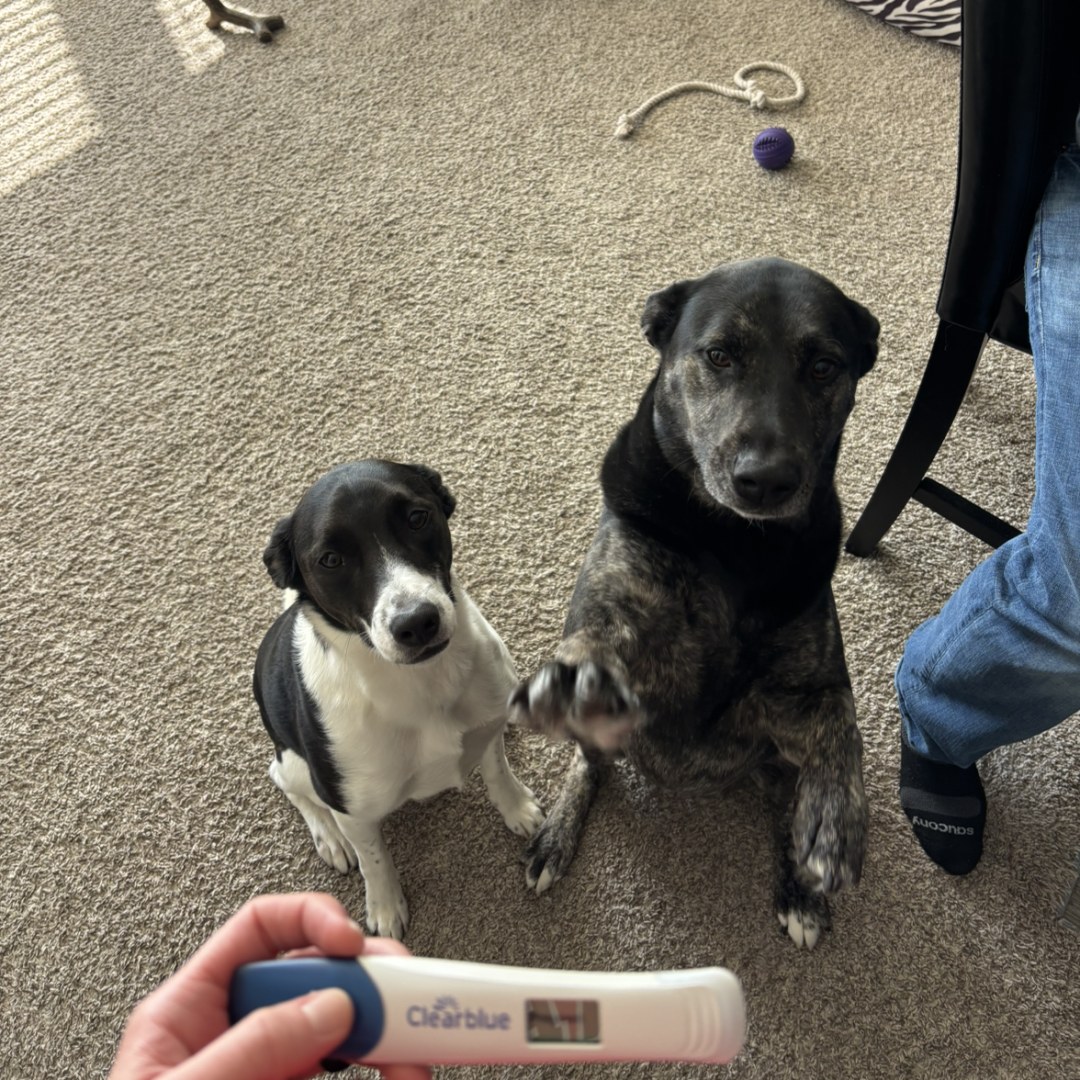 Photo shared by Haley for their Babylist baby registry.