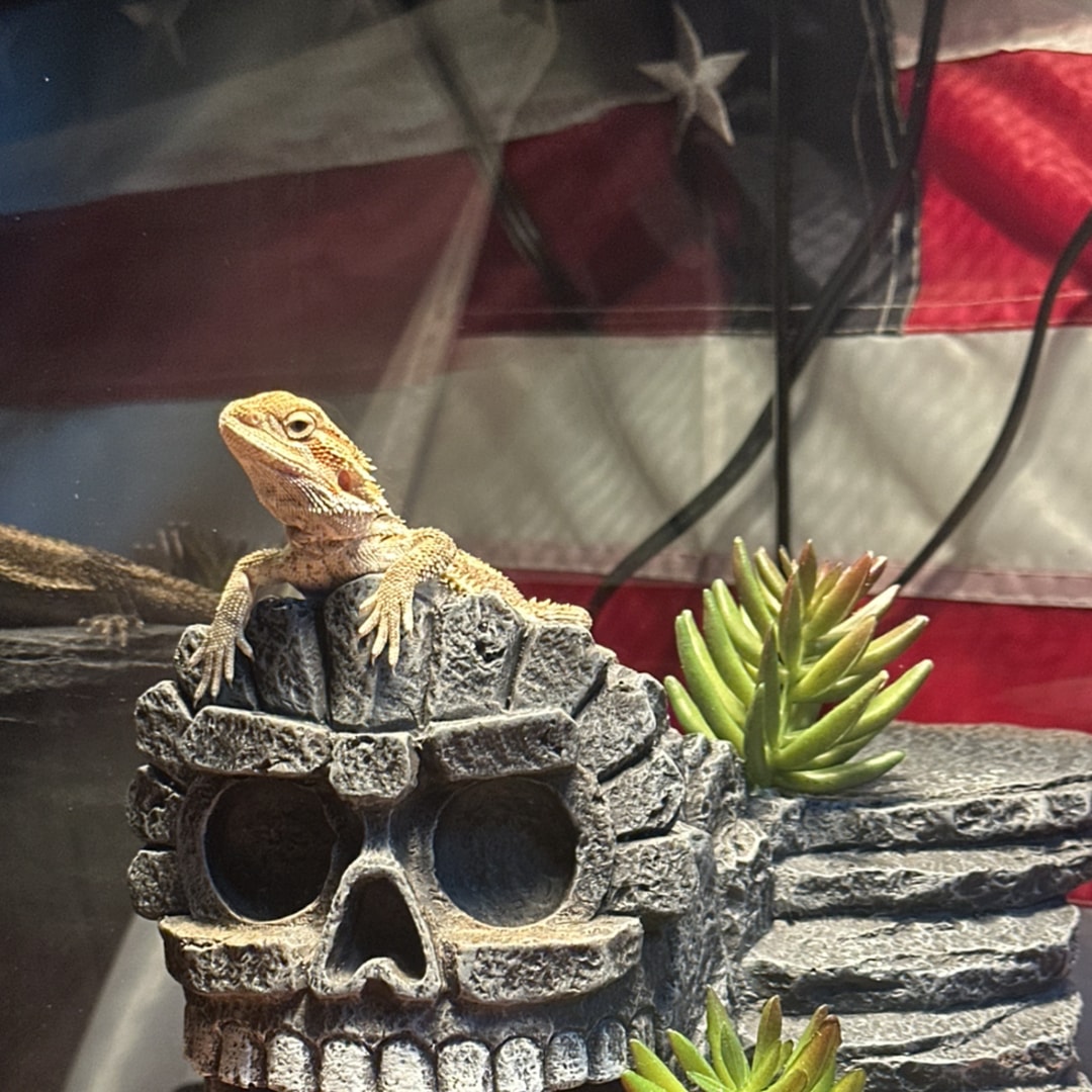 Photo shared by Laura for their Babylist baby registry.