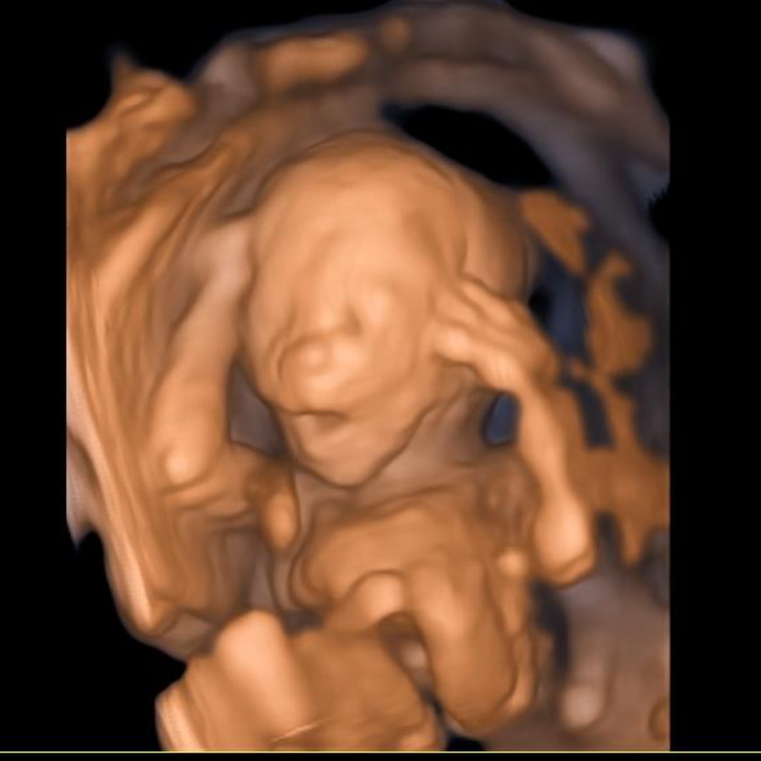 Photo shared by Kayla for their Babylist baby registry.