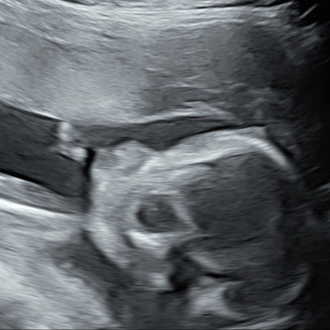 Photo shared by Ri for their Babylist baby registry.