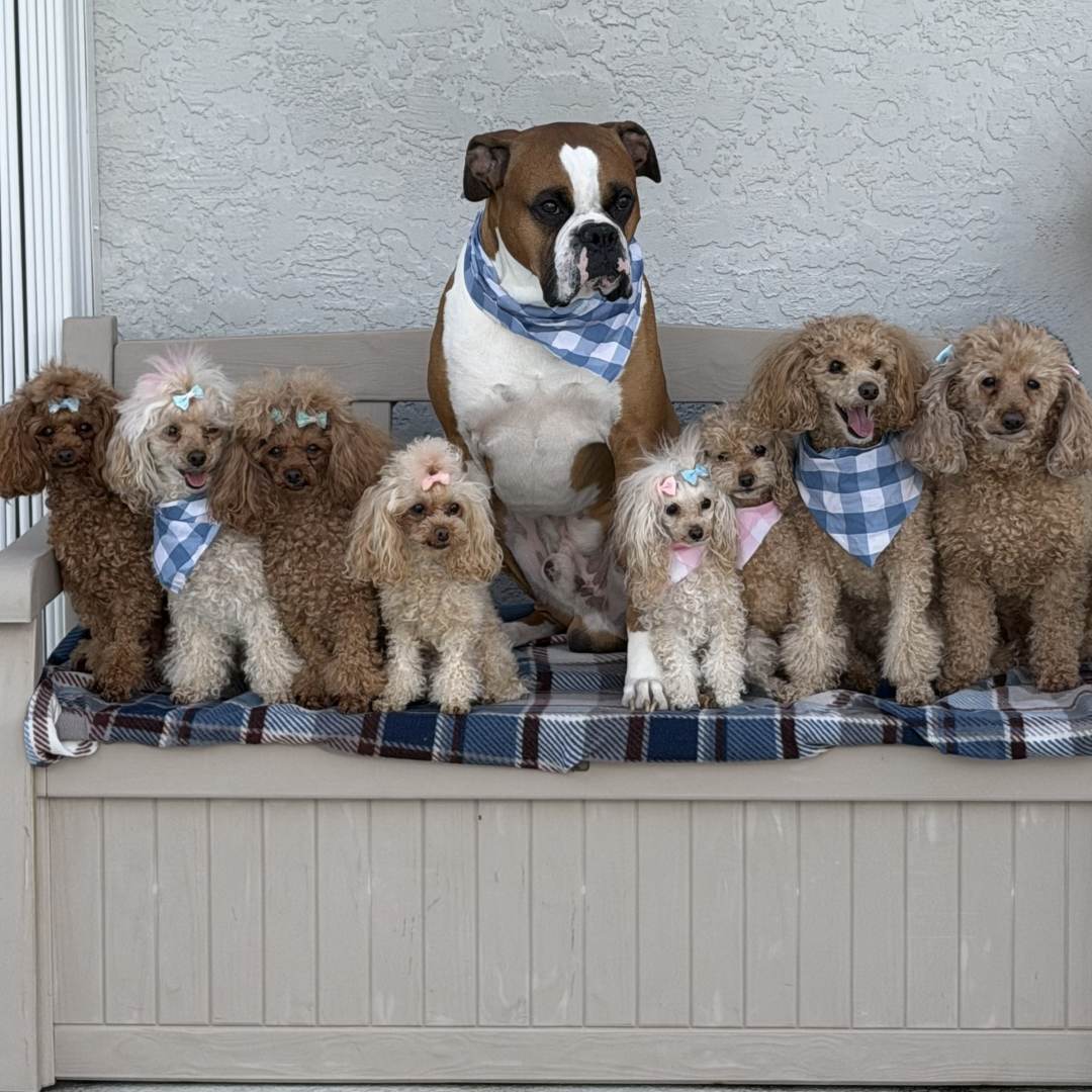 Photo shared by Ariana for their Babylist baby registry.