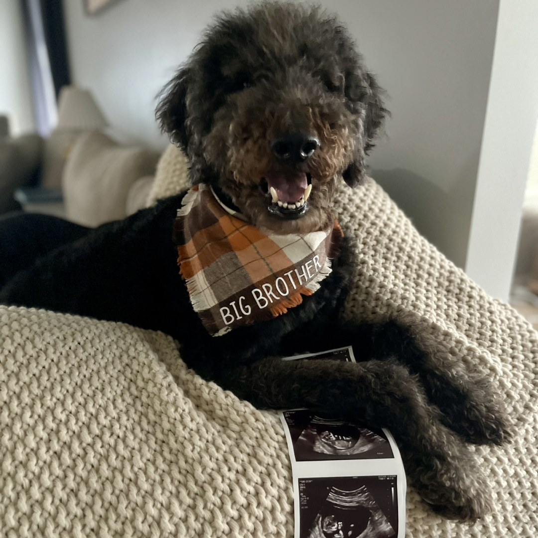 Photo shared by Kimberly for their Babylist baby registry.