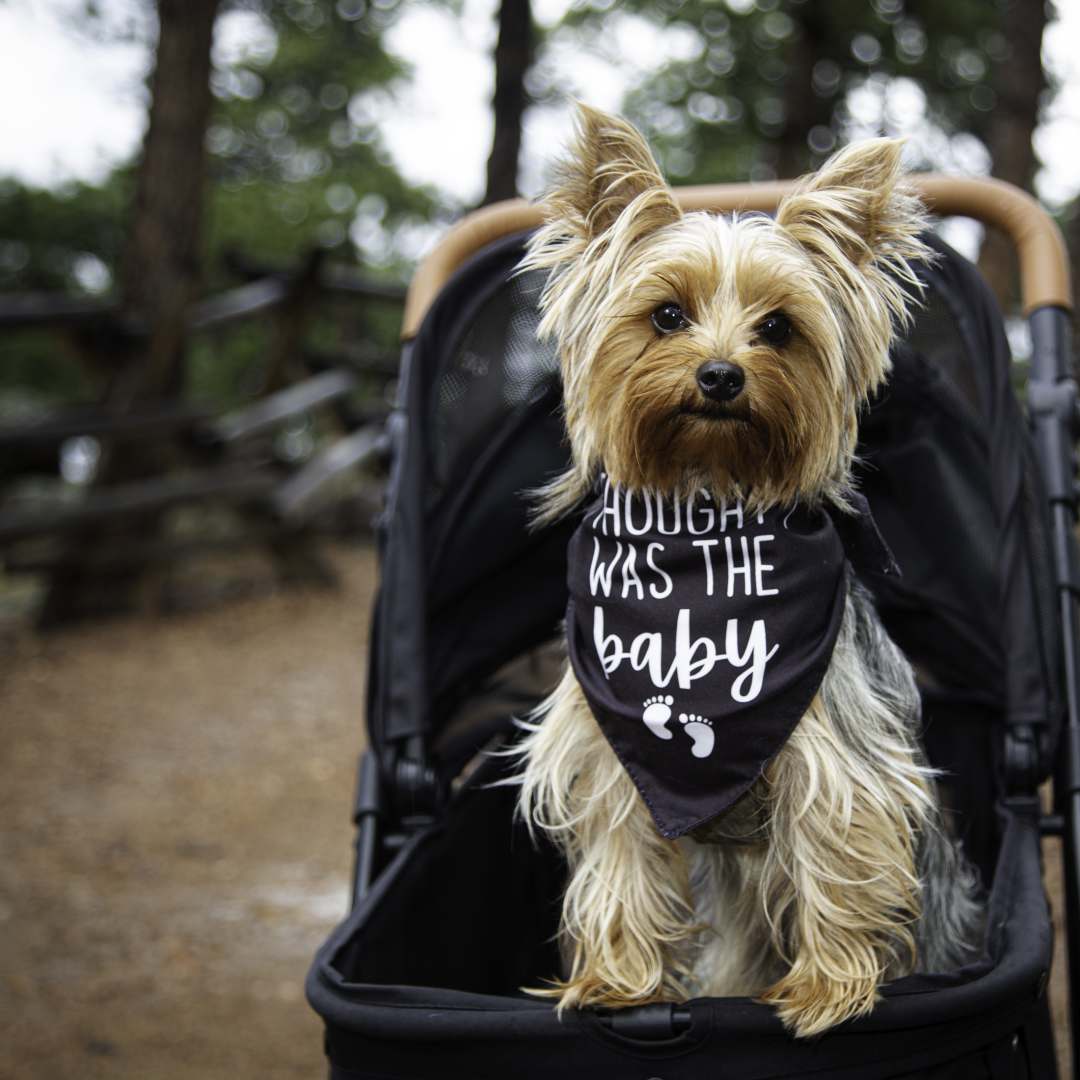 Photo shared by Jacque for their Babylist baby registry.