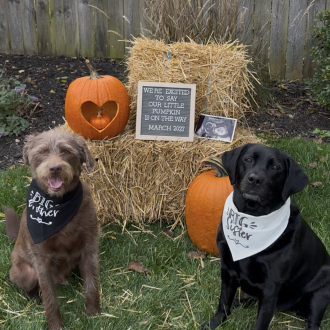 Photo shared by Marie for their Babylist baby registry.