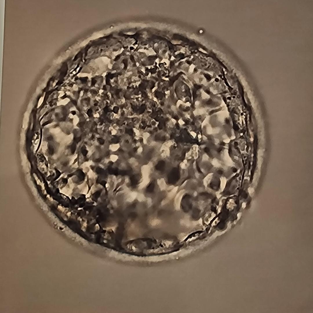 Photo shared by Seng for their Babylist baby registry.