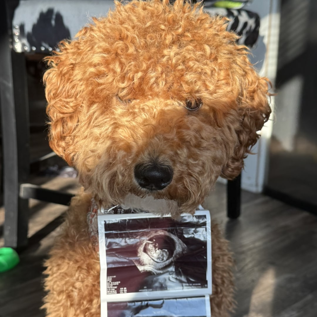 Photo shared by Hannah for their Babylist baby registry.