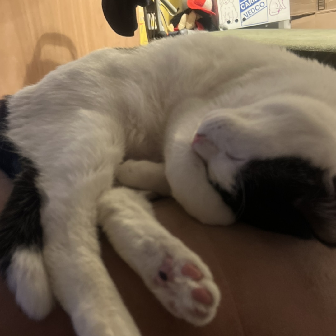 Photo shared by Bren for their Babylist baby registry.